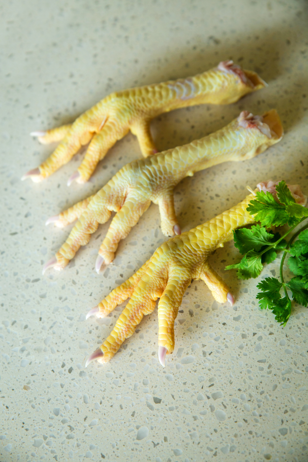 Chicken Large Feet ( not skinned )