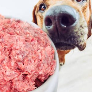Chicken Barking Pet Mince